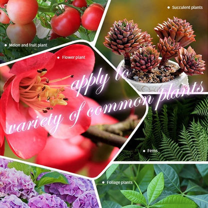 🔥2026 Hot Sale 50%OFF 🌞Home Gardening Universal Slow-Release Tablet Organic Fertilizer