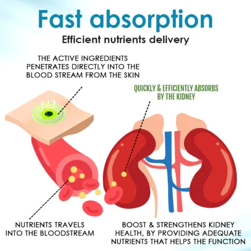 AEXZR™ Kidney Strengthening Patch
