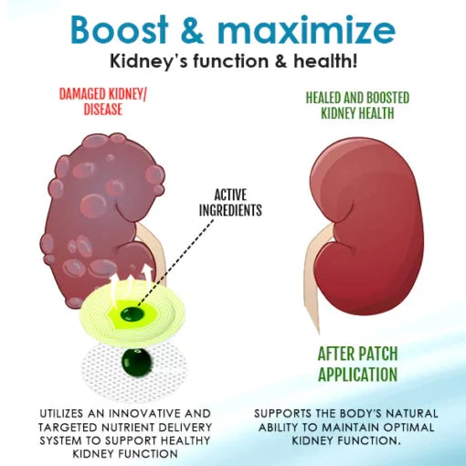 AEXZR™ Kidney Strengthening Patch
