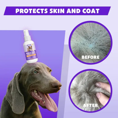 Kolirin Flea and Tick Spray