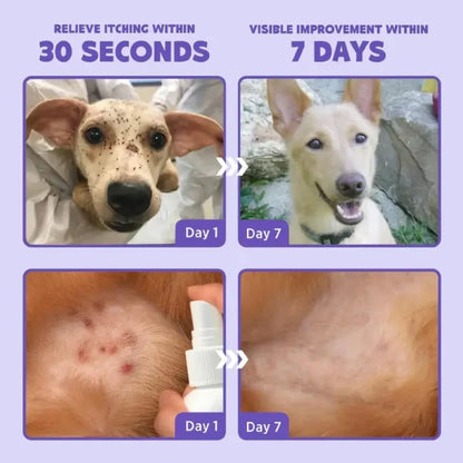 Kolirin Flea and Tick Spray